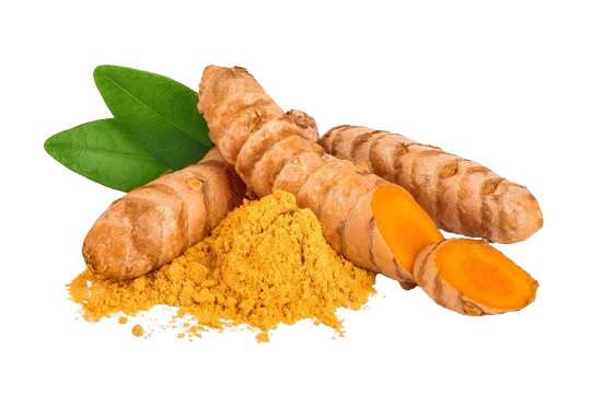 TURMERIC FRESH MUDU