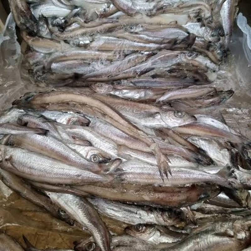 Fresh Fish (Panla) 1 Carton